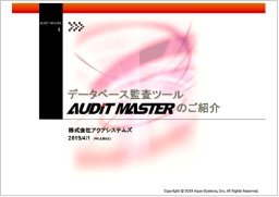 AUDIT MASTER サービス資料